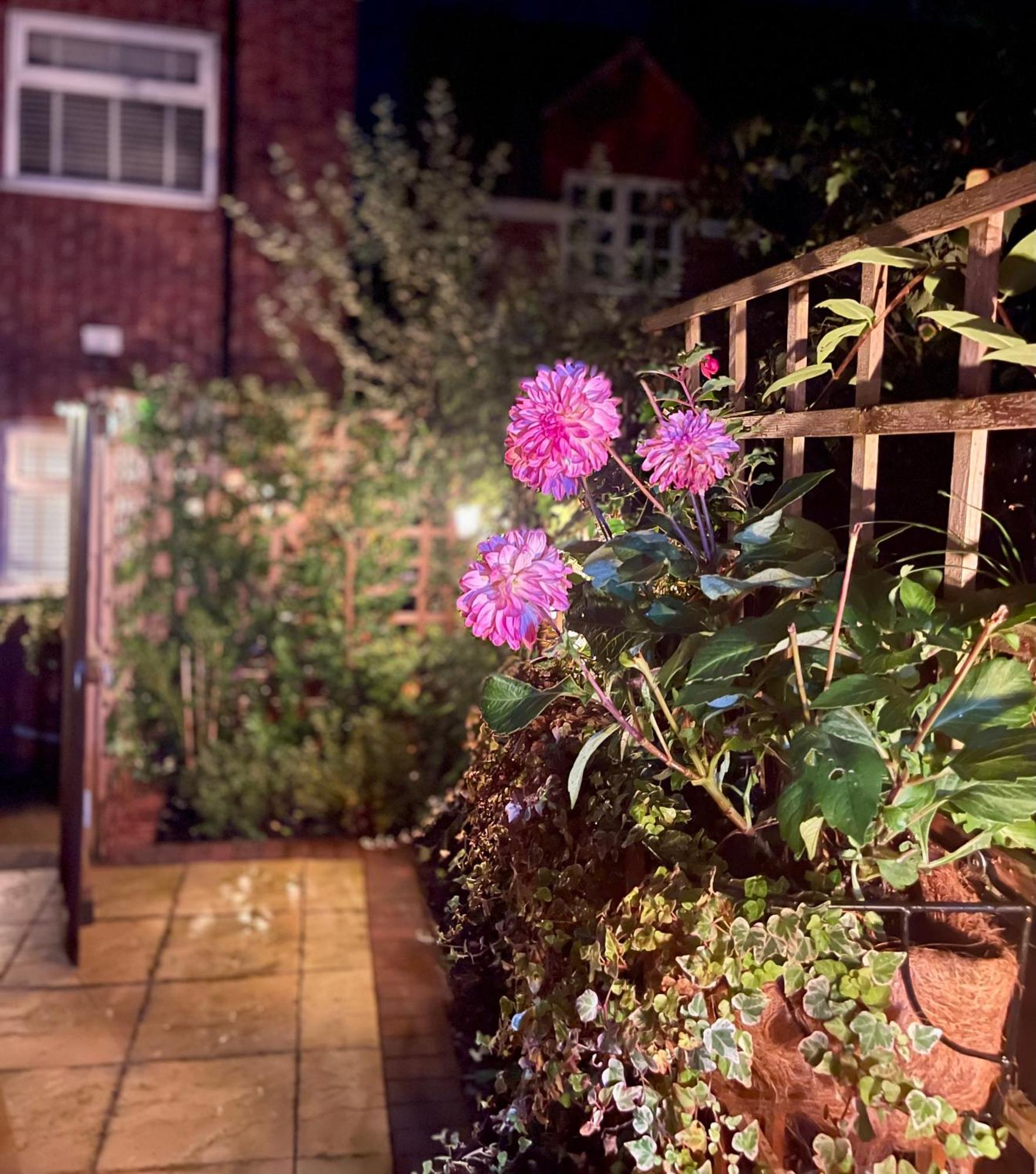 Cosy Cottage Central Bawtry - 2 Bedroom - High End Furnishings Extérieur photo